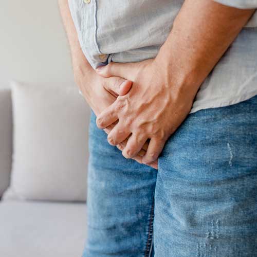 Apparato-uro-genitale